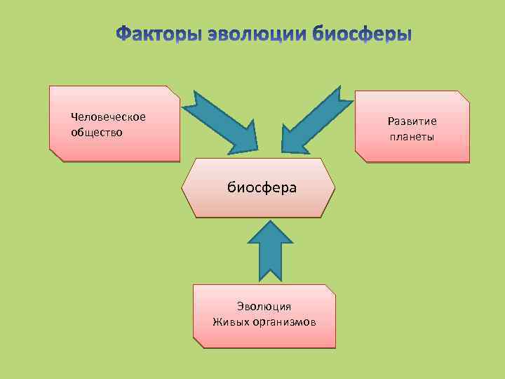 Человеческое общество Развитие планеты биосфера Эволюция Живых организмов 