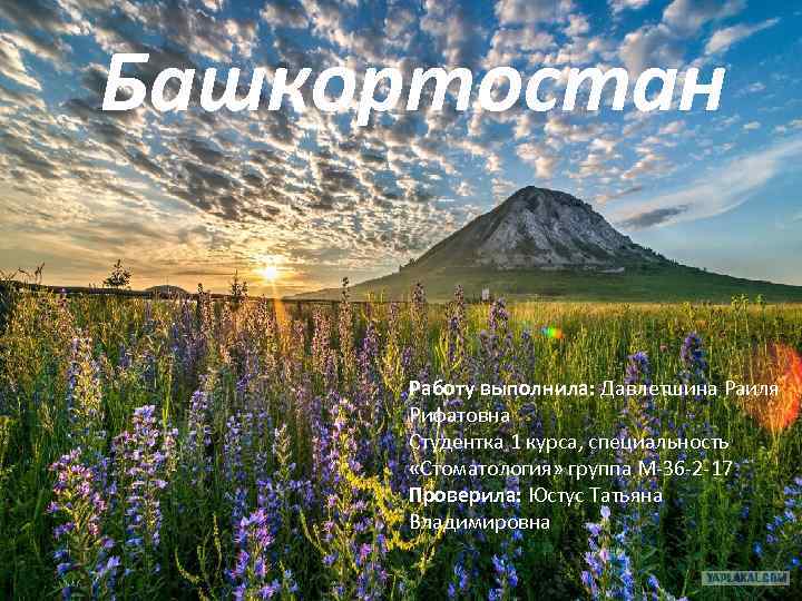 Башкортостан Работу выполнила: Давлетшина Раиля Рифатовна Студентка 1 курса, специальность «Стоматология» группа М-36 -2