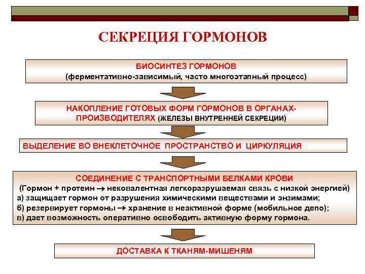 СЕКРЕЦИЯ ГОРМОНОВ БИОСИНТЕЗ ГОРМОНОВ (ферментативно-зависимый, часто многоэтапный процесс) НАКОПЛЕНИЕ ГОТОВЫХ ФОРМ ГОРМОНОВ В ОРГАНАХПРОИЗВОДИТЕЛЯХ
