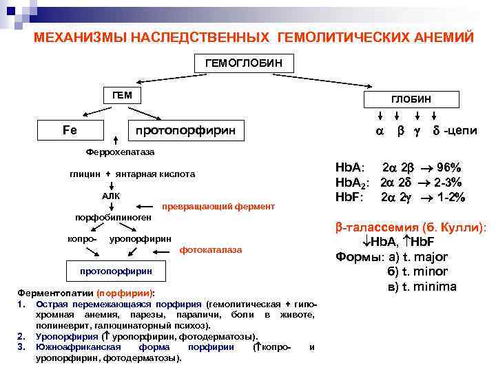 Витамин с янтарная кислота глицин