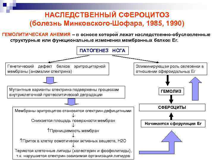 Гемолитическая анемия план обследования