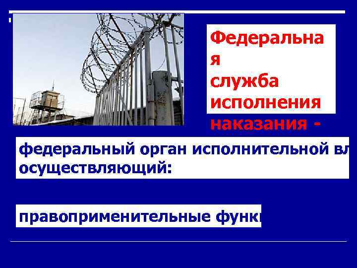 Федеральна я служба исполнения наказания - федеральный орган исполнительной вла осуществляющий: правоприменительные функции, 