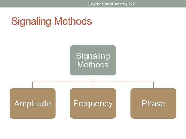 Suleyman Demirel University, 2011 Signaling Methods Amplitude Frequency Phase 