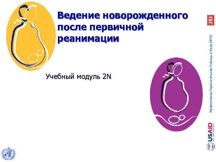Учебный модуль 2 N Эффективная Перинатальная Помощь и Уход (ЭПУ) Ведение новорожденного после первичной