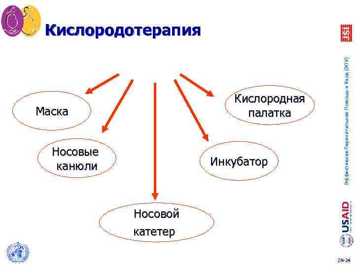 Кислородная палатка Маска Носовые канюли Инкубатор Эффективная Перинатальная Помощь и Уход (ЭПУ) Кислородотерапия Носовой