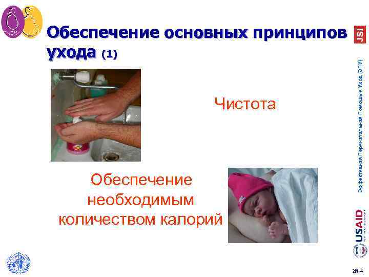 Чистота Обеспечение необходимым количеством калорий Эффективная Перинатальная Помощь и Уход (ЭПУ) Обеспечение основных принципов