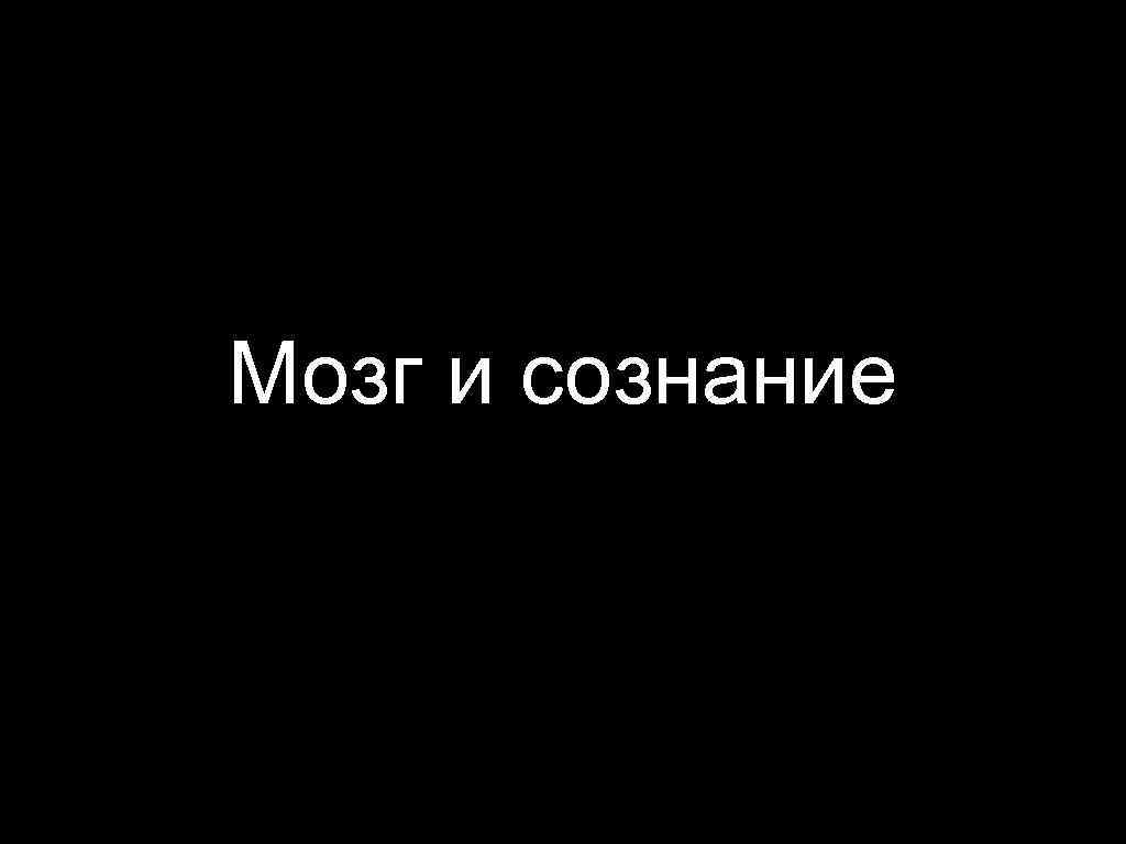 Мозг и сознание 