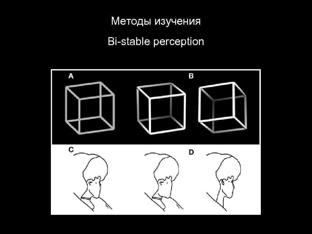 Методы изучения Bi-stable perception 