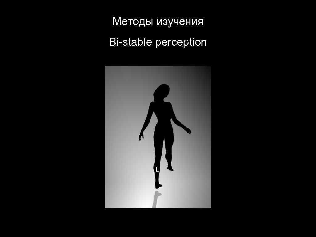 Методы изучения Bi-stable perception 