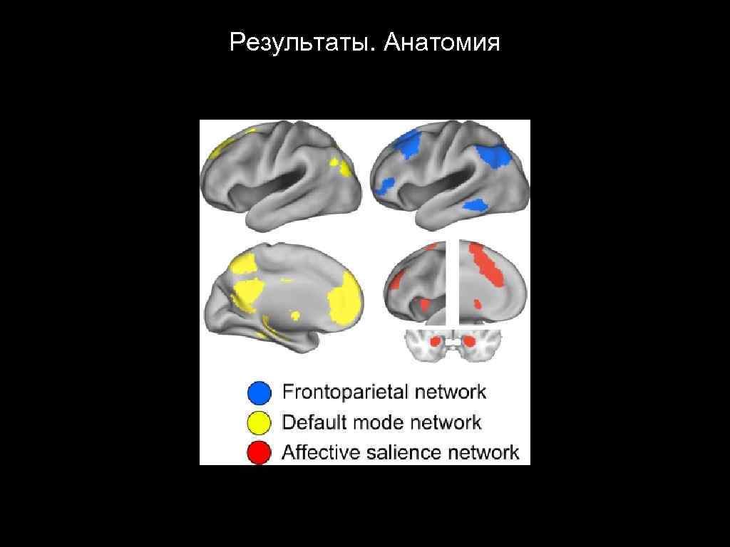 Результаты. Анатомия 