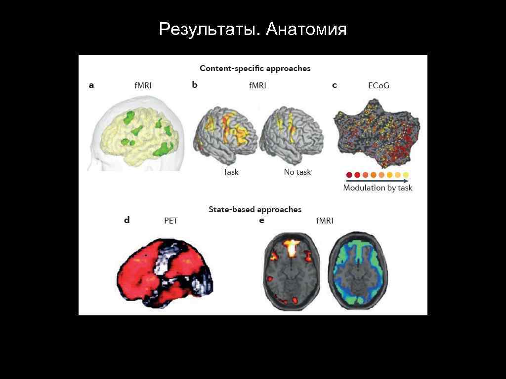 Результаты. Анатомия 