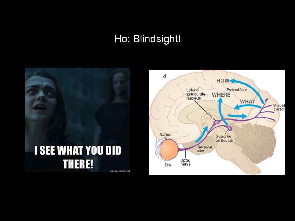 Но: Blindsight! 