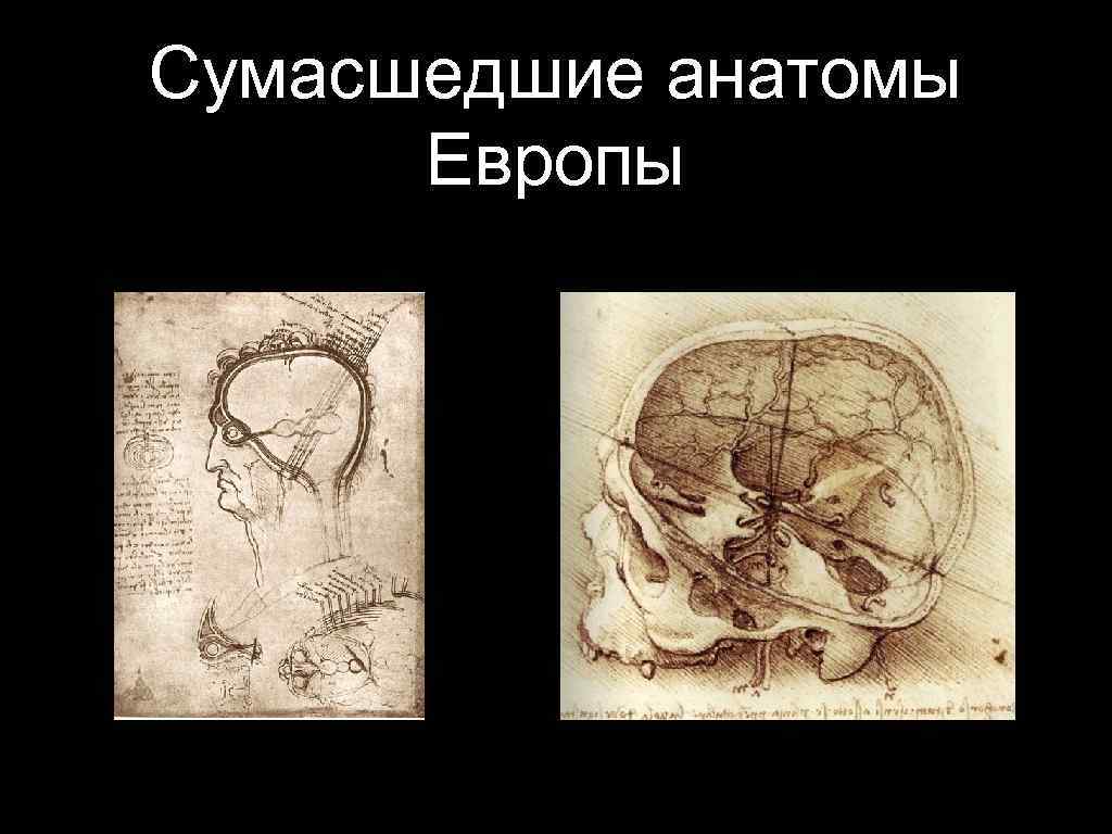 Сумасшедшие анатомы Европы 