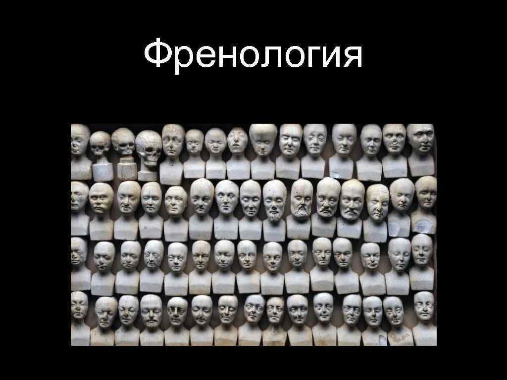 Френология 