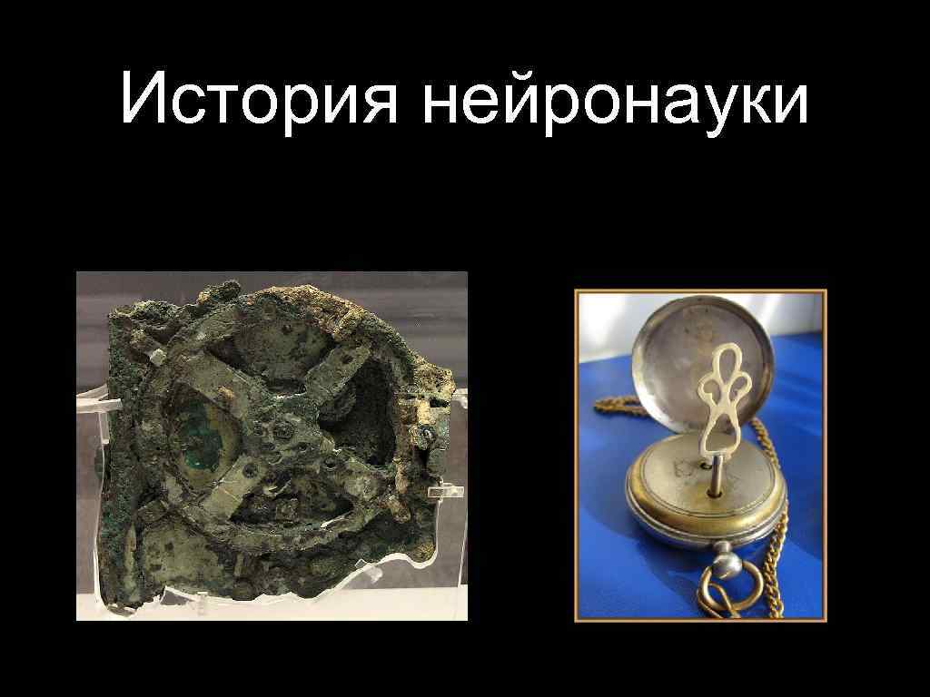История нейронауки 