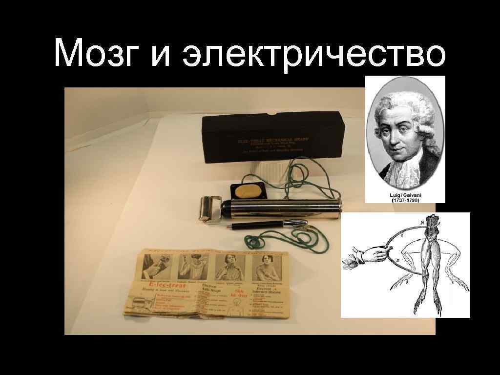 Мозг и электричество 