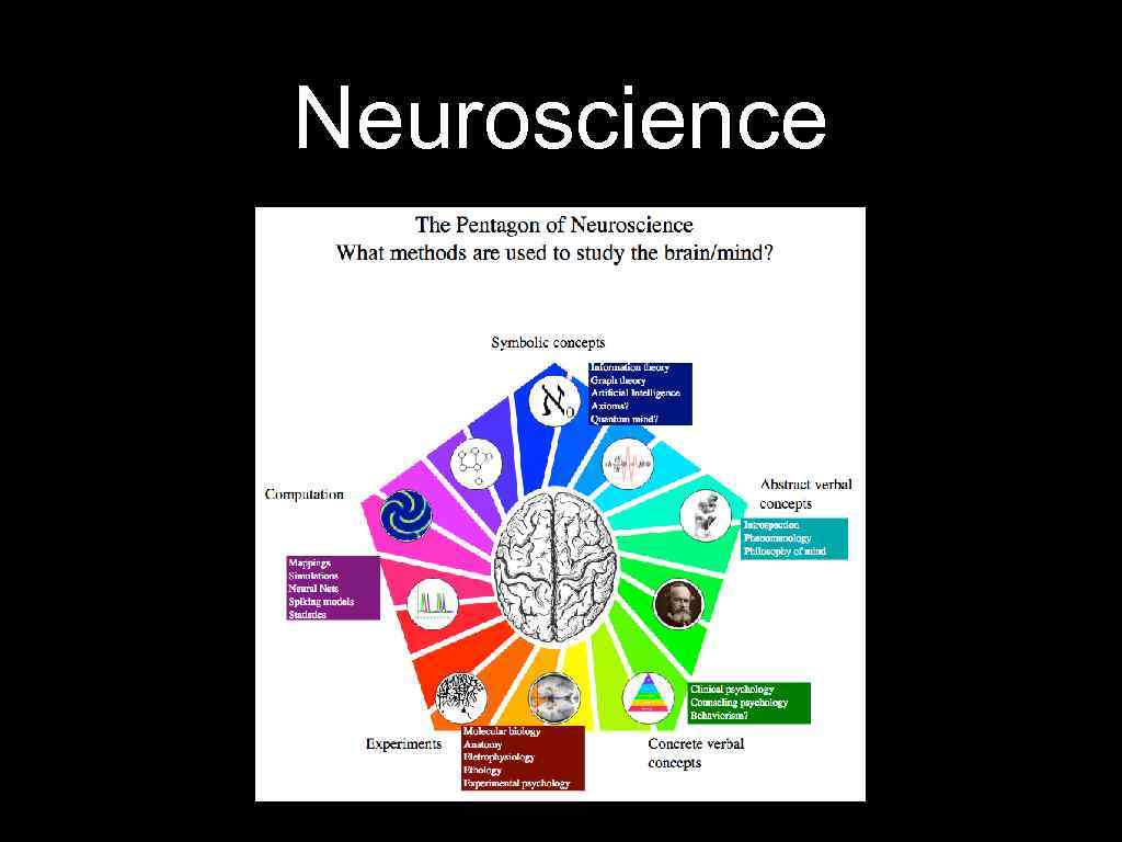 Neuroscience 