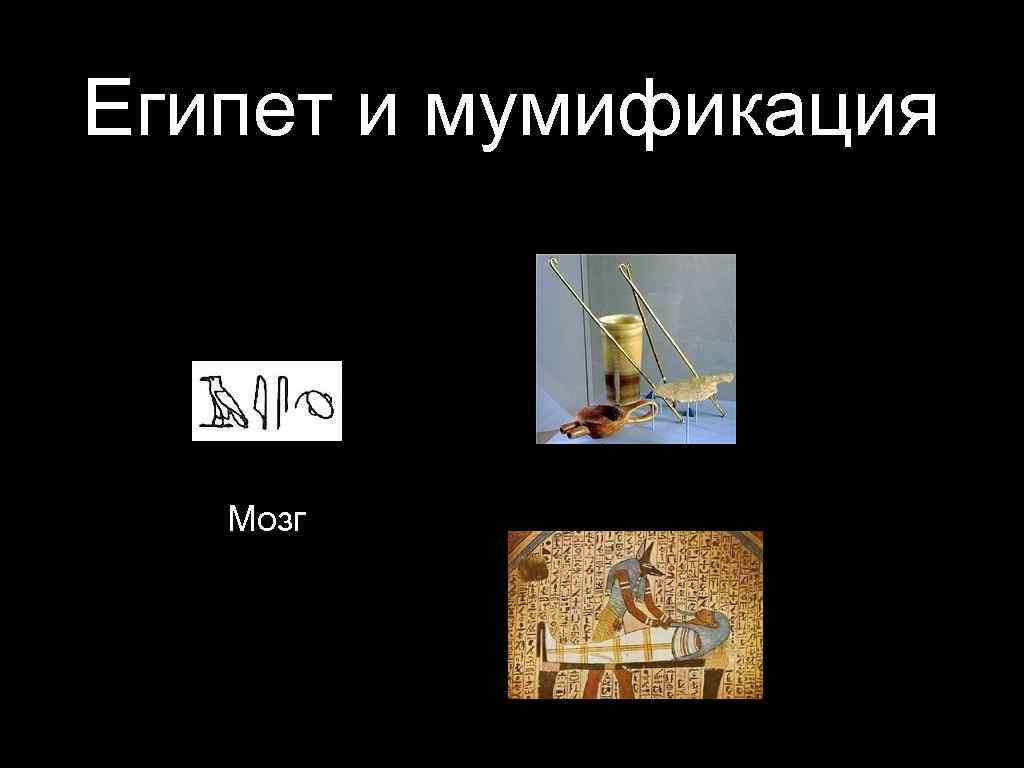 Египет и мумификация Мозг 