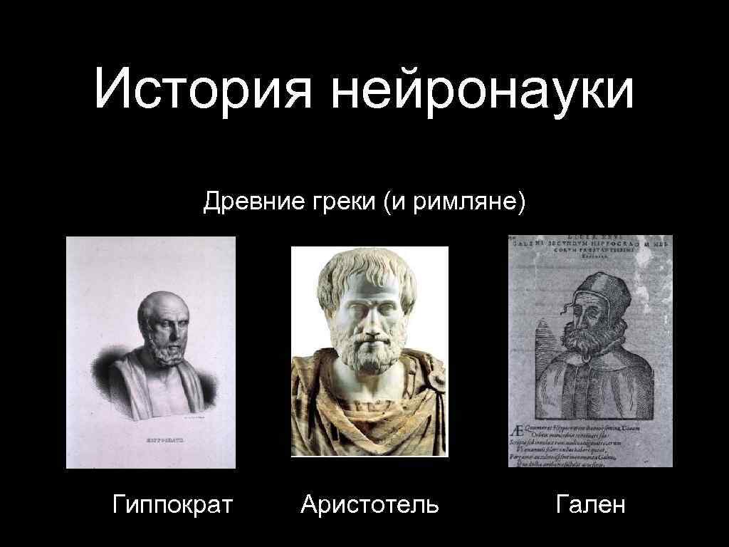 Аристотель гален. Гиппократ и Аристотель. Аристотель и Гален. Гиппократ и Гален. Гиппократ Аристотель Теофраст.