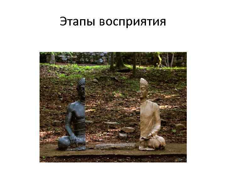 Этапы восприятия 