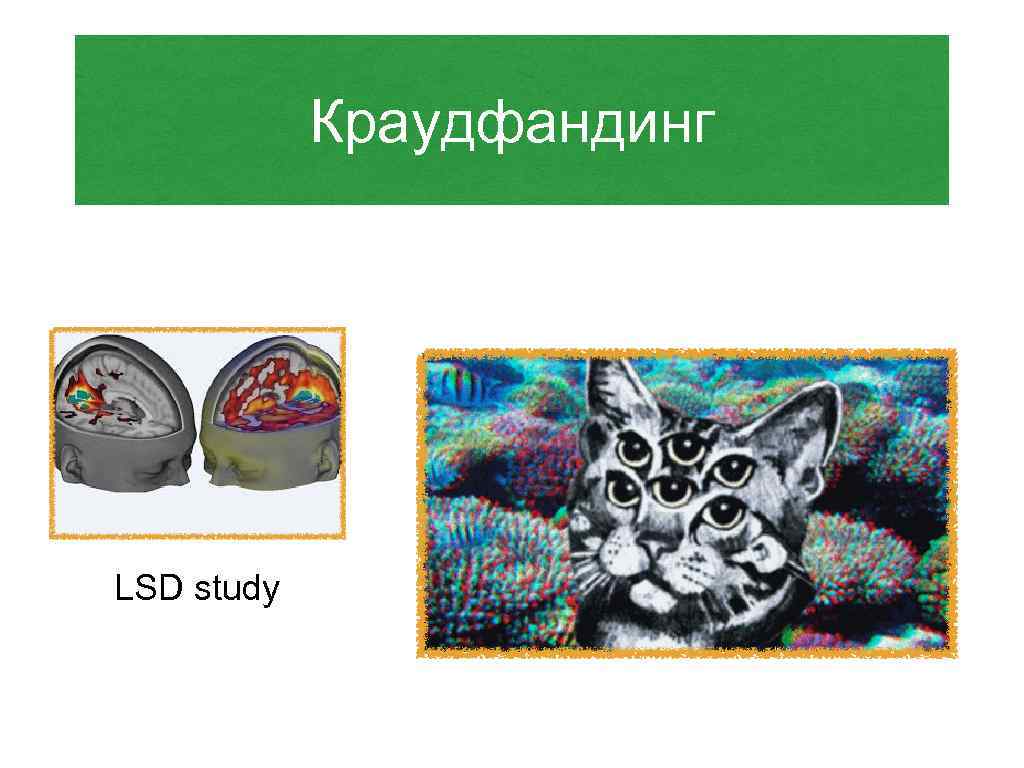 Краудфандинг LSD study 