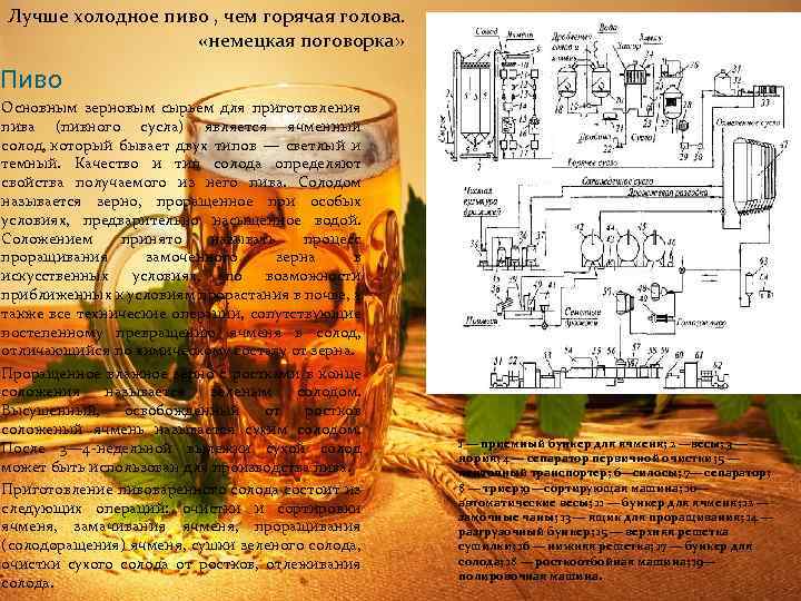 Лучше холодное пиво , чем горячая голова. «немецкая поговорка» Пиво Основным зерновым сырьем для