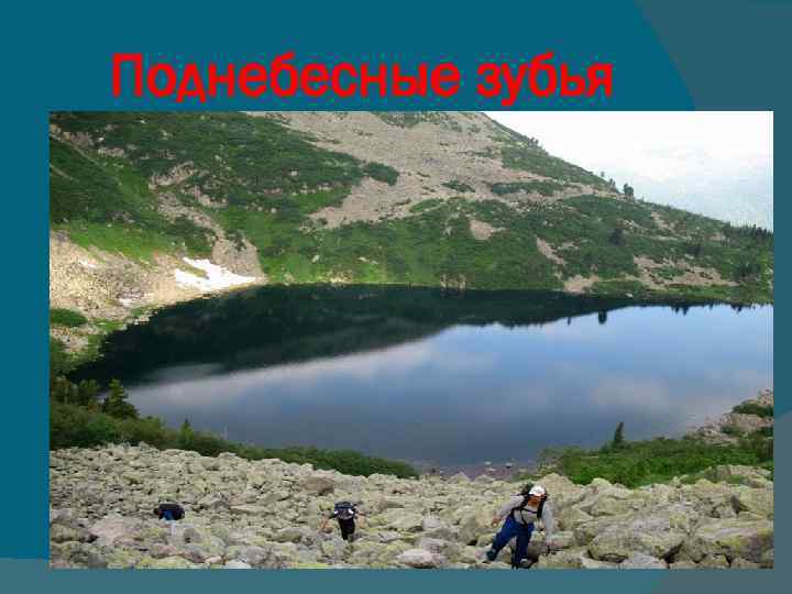 Поднебесные зубья 