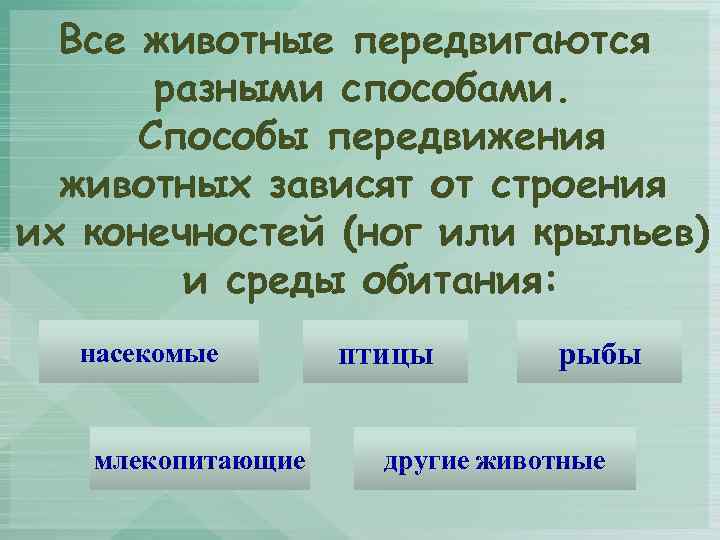 Способы передвижения животных примеры