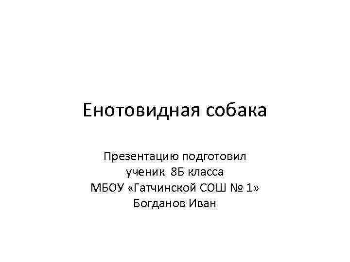 Енотовидная собака Презентацию подготовил ученик 8 Б класса МБОУ «Гатчинской СОШ № 1» Богданов