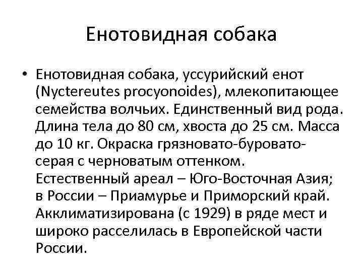 Енотовидная собака • Енотовидная собака, уссурийский енот (Nyctereutes procyonoides), млекопитающее семейства волчьих. Единственный вид