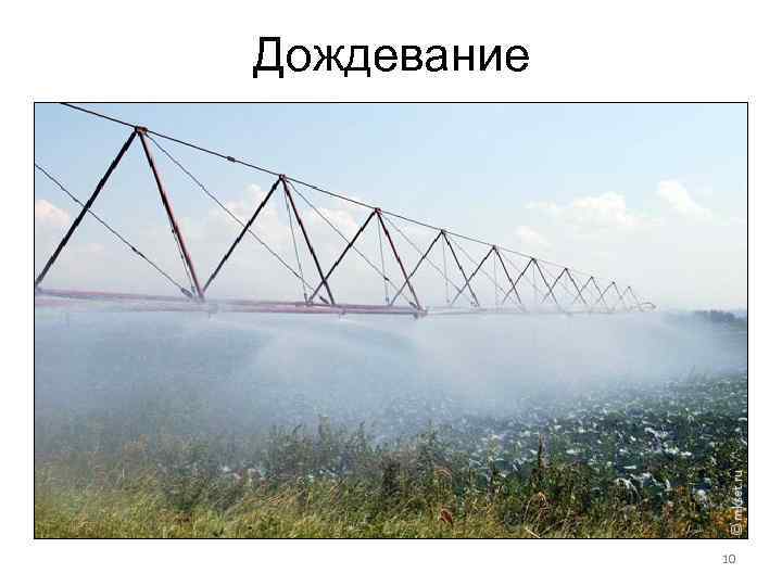Дождевание 10 