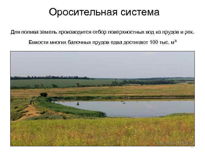 Оросительная система Для полива земель производится отбор поверхностных вод из прудов и рек. Емкости