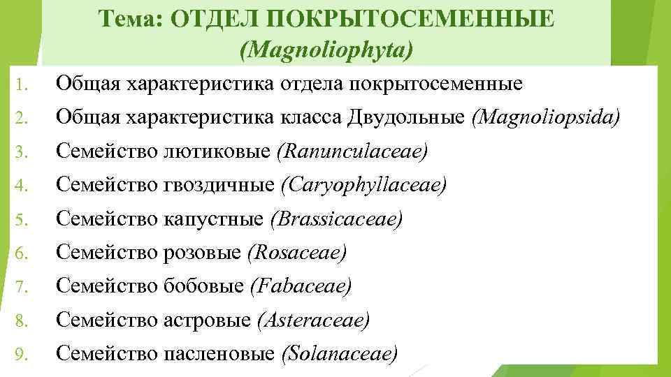 Тема: ОТДЕЛ ПОКРЫТОСЕМЕННЫЕ (Мagnoliophyta) 1. Общая характеристика отдела покрытосеменные 2. Общая характеристика класса Двудольные