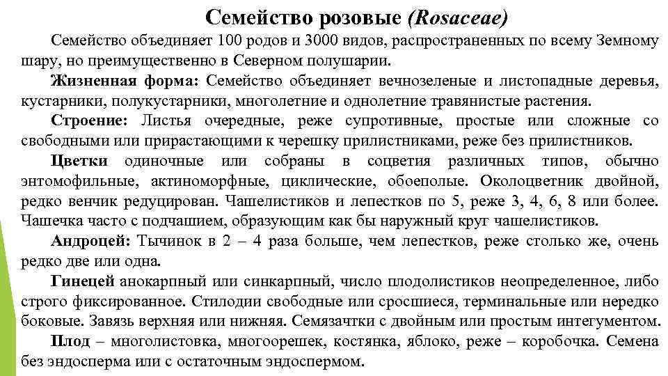 Роды объединяются в семейства. Семейство розовые общая характеристика.