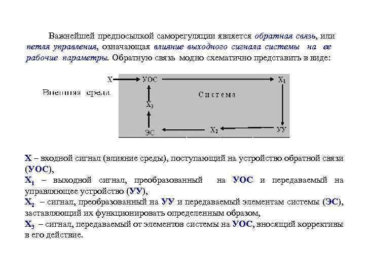 Важнейшей предпосылкой саморегуляции является обратная связь, или связь петля управления, означающая влияние выходного сигнала