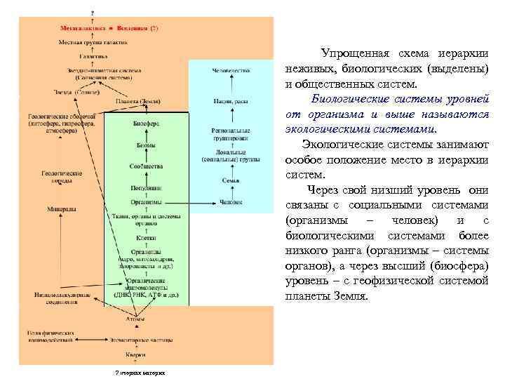 Упрощенная схема иерархии неживых, биологических (выделены) и общественных систем. Биологические системы уровней от организма