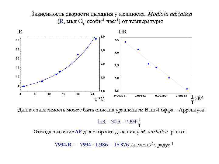 Зависимость скорости дыхания у моллюска Modiola adriatica (R, мкл О 2·особь-1·час-1) от температуры R