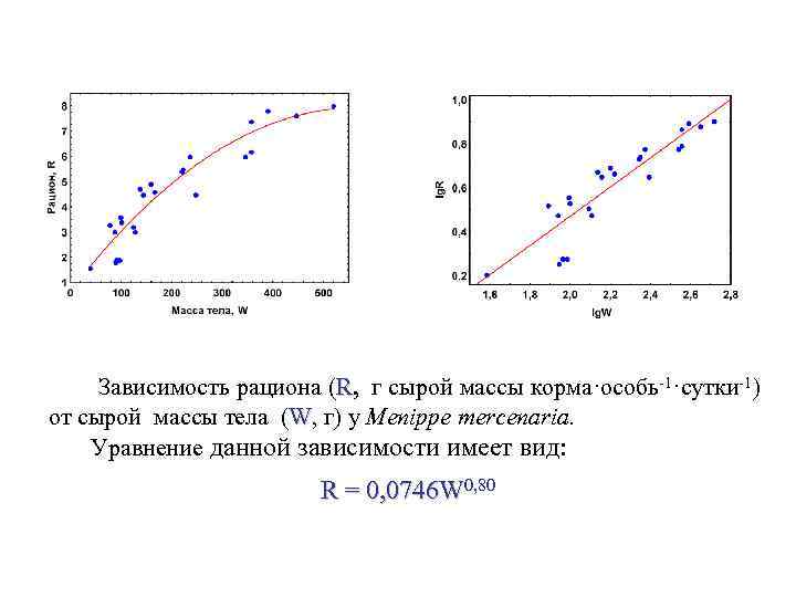 Зависимость рациона (R, г сырой массы корма·особь-1·сутки-1) от сырой массы тела (W, г) у