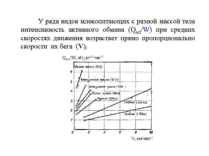 У ряда видов млекопитающих с разной массой тела интенсивность активного обмена (Qact/W) при средних