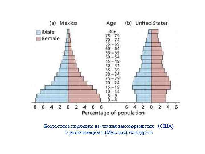 Возрастные пирамиды населения высокоразвитых (США) и развивающихся (Мексика) государств 