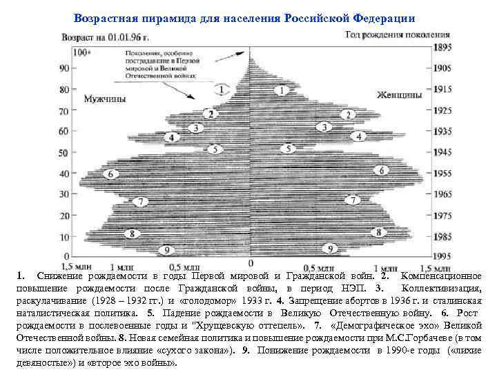 Возрастная пирамида для населения Российской Федерации 1. Снижение рождаемости в годы Первой мировой и