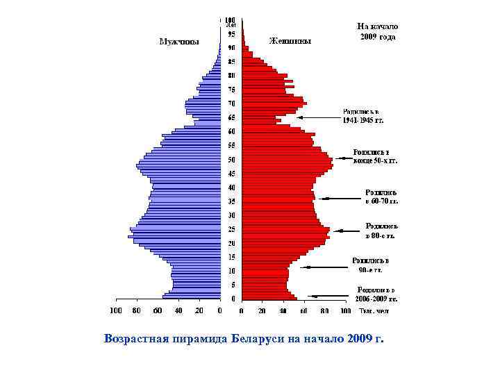 Возрастная пирамида Беларуси на начало 2009 г. 