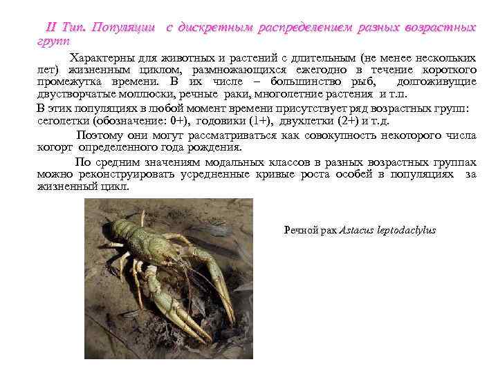 II Тип. Популяции с дискретным распределением разных возрастных групп Характерны для животных и растений