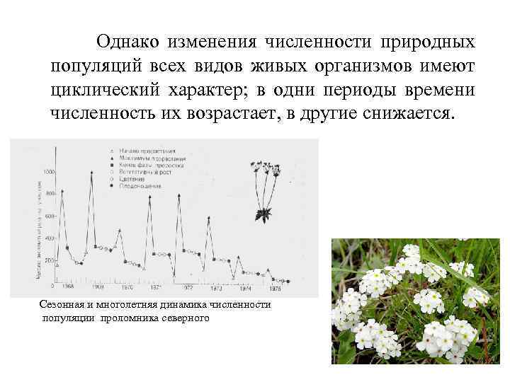 Однако изменения численности природных популяций всех видов живых организмов имеют циклический характер; в одни