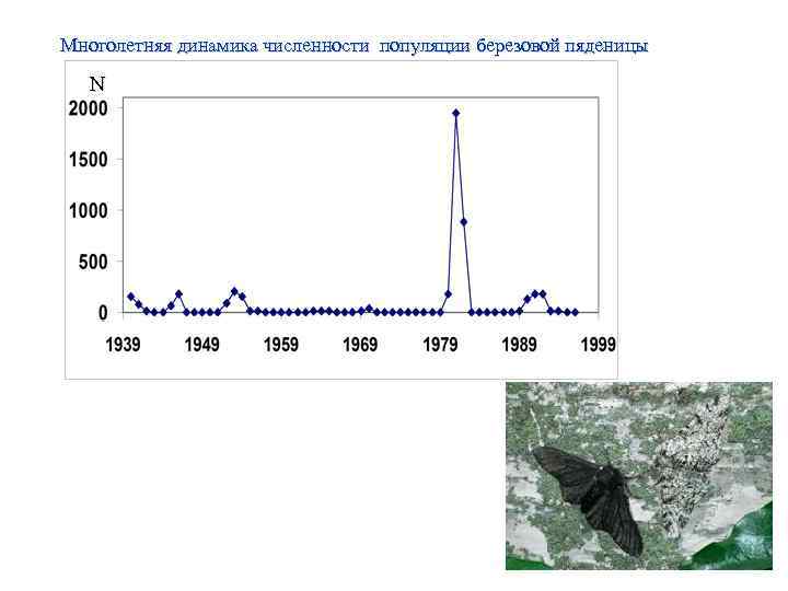 Многолетняя динамика численности популяции березовой пяденицы N 