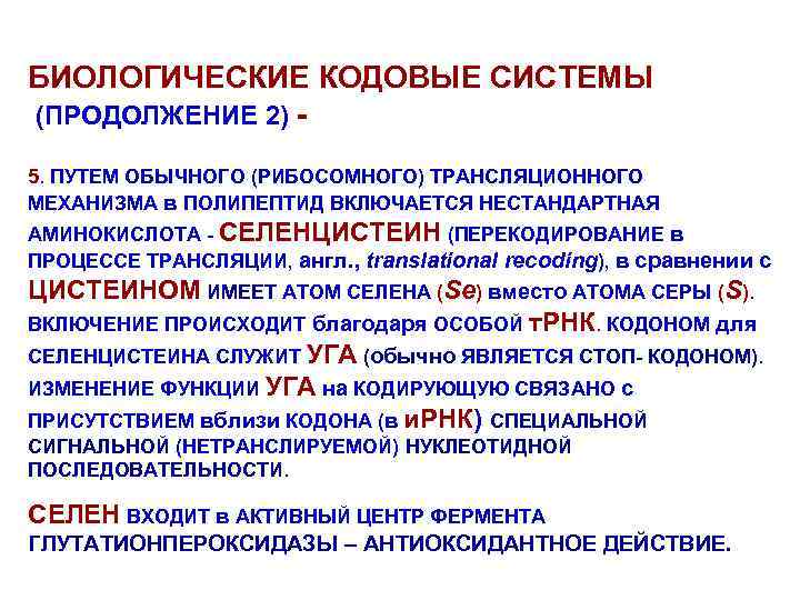 БИОЛОГИЧЕСКИЕ КОДОВЫЕ СИСТЕМЫ (ПРОДОЛЖЕНИЕ 2) 5. ПУТЕМ ОБЫЧНОГО (РИБОСОМНОГО) ТРАНСЛЯЦИОННОГО МЕХАНИЗМА в ПОЛИПЕПТИД ВКЛЮЧАЕТСЯ