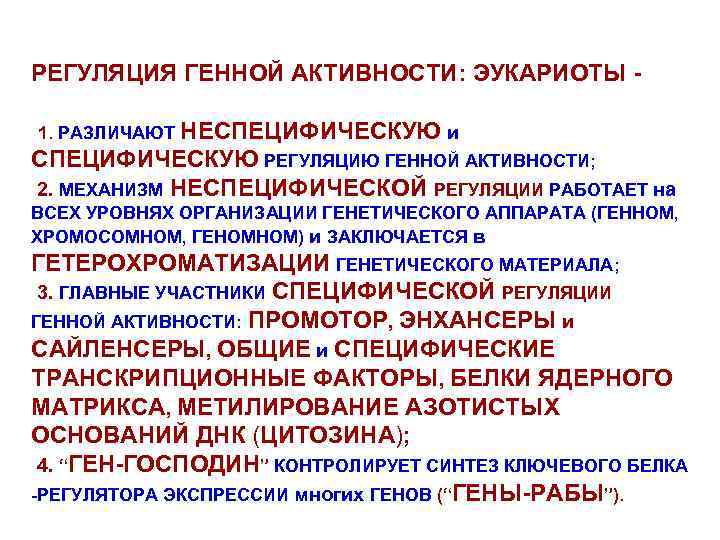 РЕГУЛЯЦИЯ ГЕННОЙ АКТИВНОСТИ: ЭУКАРИОТЫ НЕСПЕЦИФИЧЕСКУЮ и СПЕЦИФИЧЕСКУЮ РЕГУЛЯЦИЮ ГЕННОЙ АКТИВНОСТИ; 2. МЕХАНИЗМ НЕСПЕЦИФИЧЕСКОЙ РЕГУЛЯЦИИ