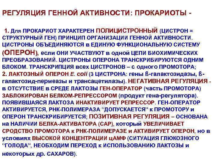 РЕГУЛЯЦИЯ ГЕННОЙ АКТИВНОСТИ: ПРОКАРИОТЫ 1. Для ПРОКАРИОТ ХАРАКТЕРЕН ПОЛИЦИСТРОННЫЙ (ЦИСТРОН = СТРУКТУРНЫЙ ГЕН) ПРИНЦИП