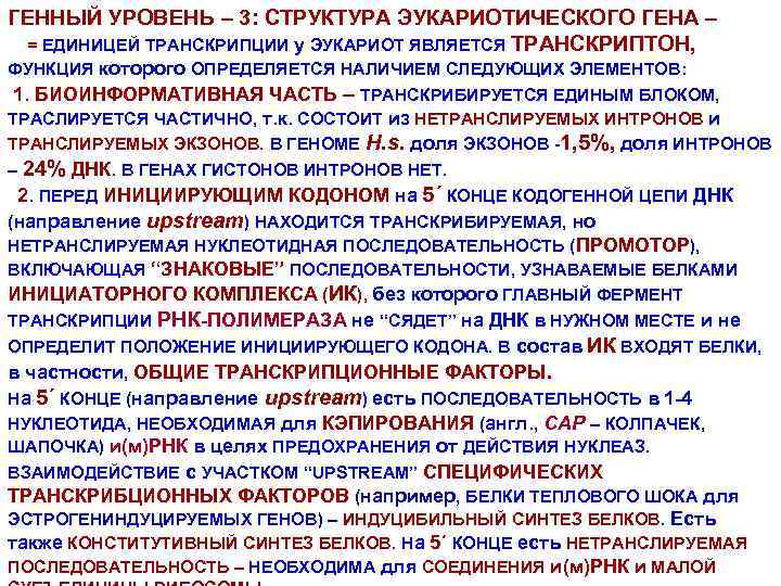 ГЕННЫЙ УРОВЕНЬ – 3: СТРУКТУРА ЭУКАРИОТИЧЕСКОГО ГЕНА – = ЕДИНИЦЕЙ ТРАНСКРИПЦИИ у ЭУКАРИОТ ЯВЛЯЕТСЯ