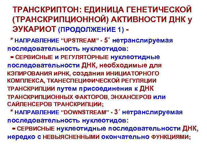 ТРАНСКРИПТОН: ЕДИНИЦА ГЕНЕТИЧЕСКОЙ (ТРАНСКРИПЦИОННОЙ) АКТИВНОСТИ ДНК у ЭУКАРИОТ (ПРОДОЛЖЕНИЕ 1) * НАПРАВЛЕНИЕ “UPSTREAM” -